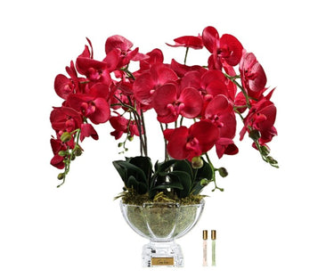 Luxury Centrepiece Orchid Bouquet - Red - CPO14 (Carton of 1)